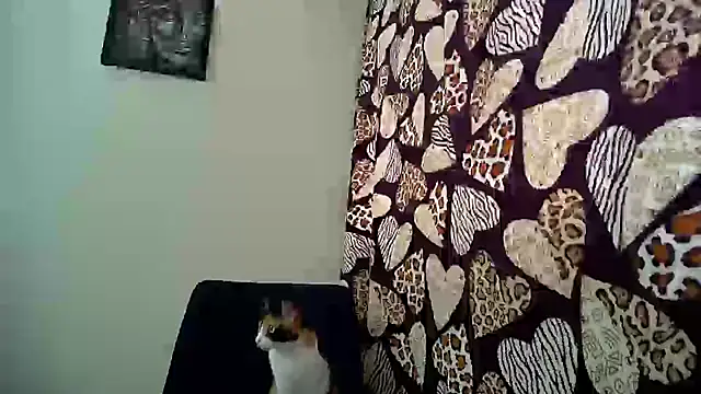 KittyHoleshot87 online show from 09-19-25, 04:33