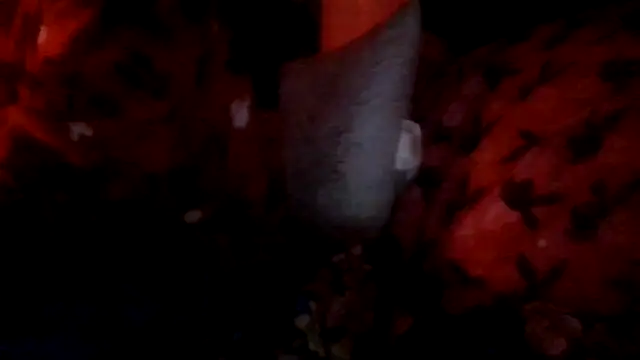 Snapshot of prettymaa chatting on 10-01-25, 03:11 prettymaa online show from 10-01-25, 03:11