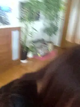 AYA dayo online show from 03-13-26, 12:48