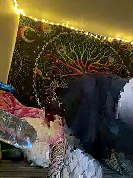 VickPicsVermillion online show from 11-21-25, 11:37