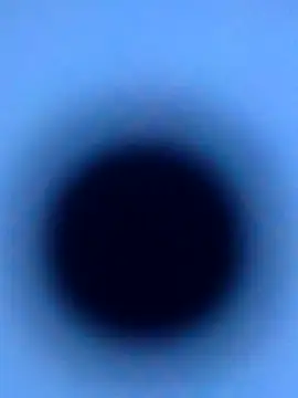 silversage92 online show from 10-05-25, 08:21