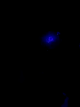 johnboones10 online show from 10-22-25, 09:42