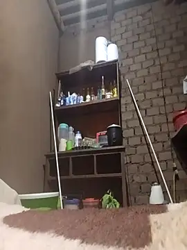 Gustavo1135e online show from 11-24-25, 02:33