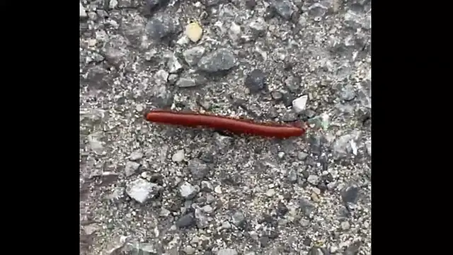 ohyesd4ddy online show from 12-01-25, 06:20