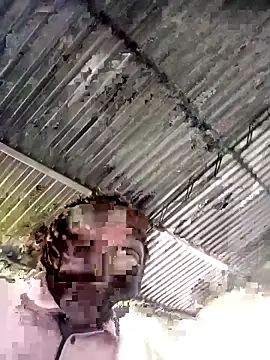 sharpei online show from 02-19-26, 06:49