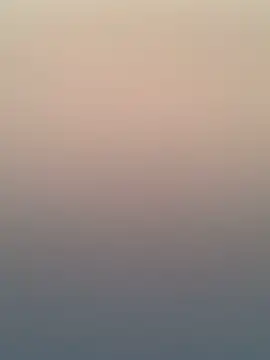 Adele Pinkk online show from 11-20-25, 12:17