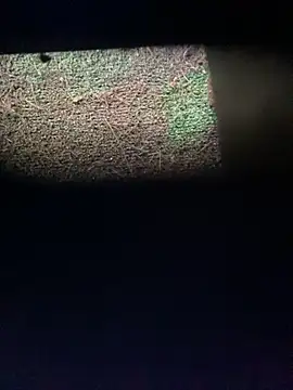 Adele Pinkk online show from 11-12-25, 12:20