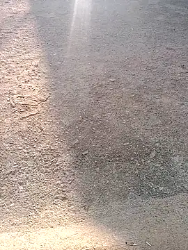 Shreyaaa 1 online show from 11-07-25, 02:16