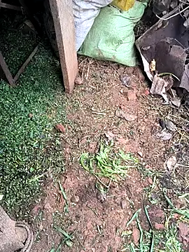 Shreyaaa 1 online show from 02-03-26, 05:05