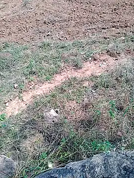 Shreyaaa 1 online show from 11-06-25, 07:23