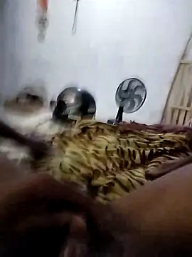 sertaonegro online show from 03-05-26, 11:29