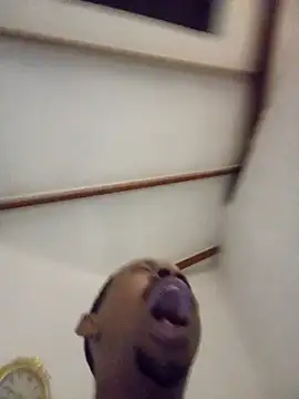 fitsexyman online show from 01-11-26, 08:49