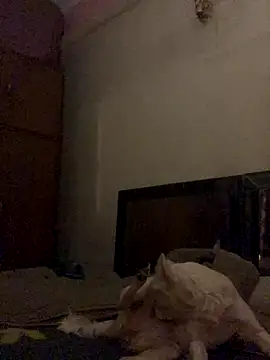 Kajal-Shemale69 online show from 12-16-25, 11:25