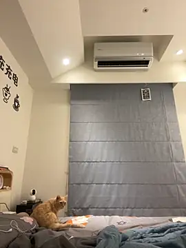 tw feibaby online show from 09-12-25, 02:39