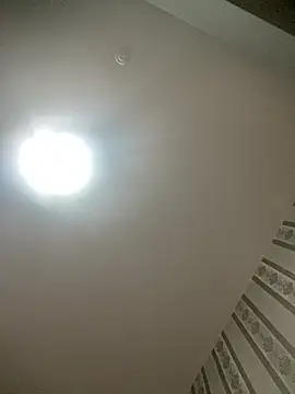 gaucha5 online show from 02-04-26, 10:49