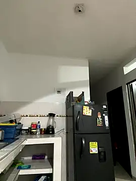 zaracollins01 online show from 12-03-25, 02:34