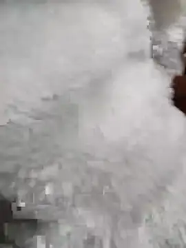 Tasu774 online show from 11-26-25, 10:32