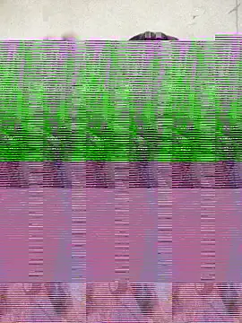 Silly Boy12 online show from 11-06-25, 08:35