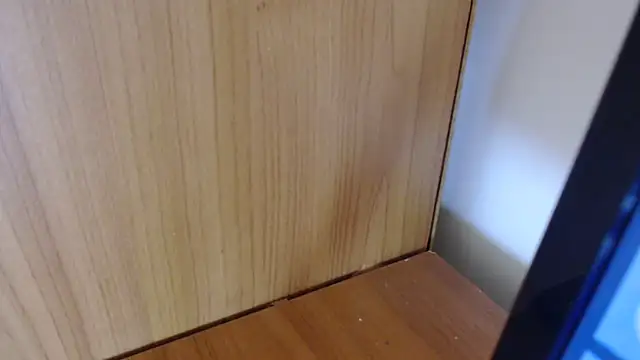 Pamela-StripX online show from 03-03-26, 08:38