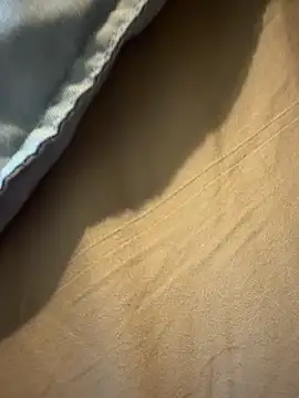 StudiedJoint85 online show from 11-24-25, 05:02