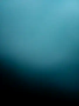 Bocuseart online show from 12-05-25, 06:17