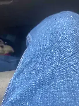 Snapshot of Pedro98801 chatting on 02-02-26, 11:48 Pedro98801 online show from 02-02-26, 11:48