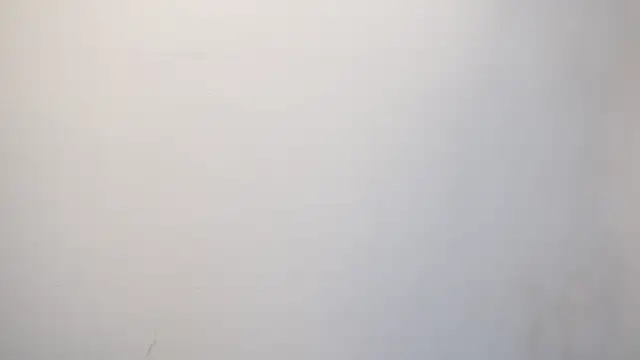 Tayler Kim online show from 09-24-25, 04:24