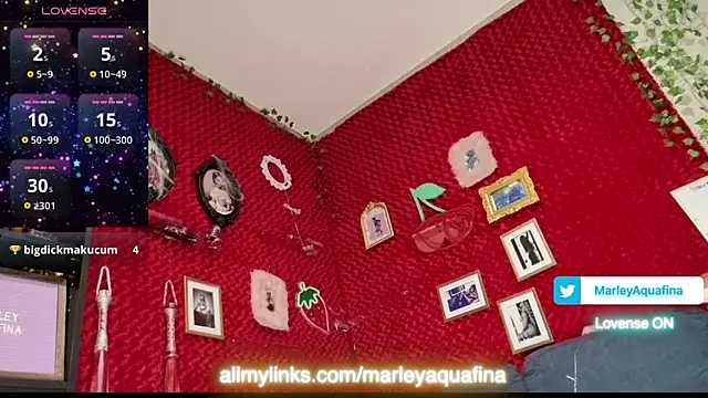Snapshot of MarleyAquafina chatting on 10-28-25, 01:32 MarleyAquafina online show from 10-28-25, 01:32