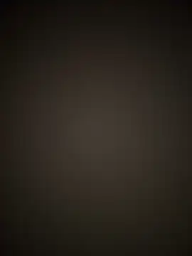 PayForThePaddy online show from 11-17-25, 11:53