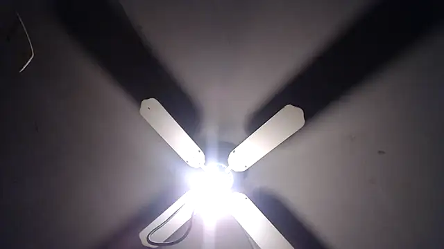 BiglovelyXXL online show from 11-23-25, 04:33