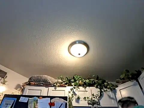 WWGD69 online show from 03-03-26, 02:29