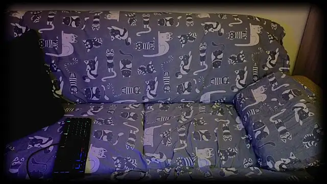 SparkyFerret online show from 06-20-26, 10:37