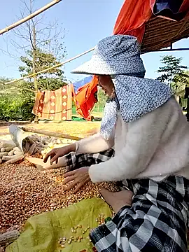 Tin tanny online show from 11-26-25, 08:14