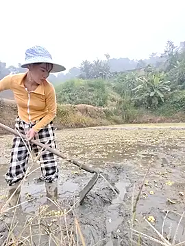 Tin tanny online show from 12-05-25, 12:54