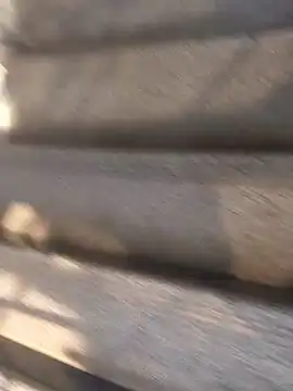 Bangladeshi Big male online show from 09-29-25, 09:49