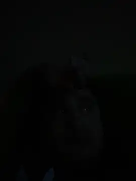 Snapshot of whitsblack chatting on 11-03-25, 11:52 whitsblack online show from 11-03-25, 11:52