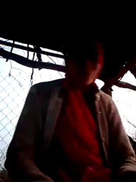 H seema online show from 12-01-25, 12:17