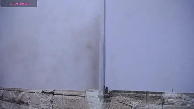 Bicky 24 online show from 02-25-26, 09:20