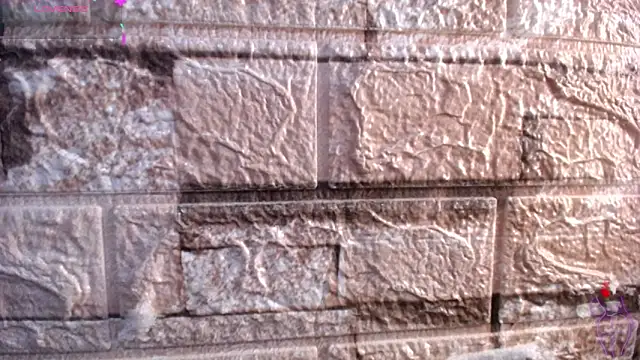 Bicky 24 online show from 03-06-26, 09:26