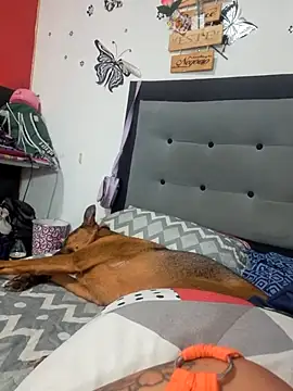 anythompsom online show from 11-11-25, 08:14