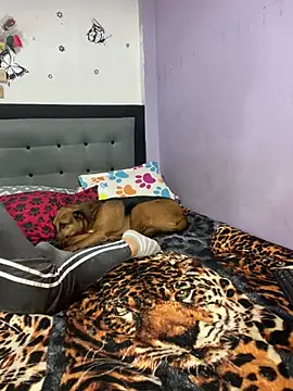 anythompsom online show from 02-05-26, 08:37