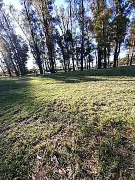 Almendrasexy online show from 10-25-25, 08:53