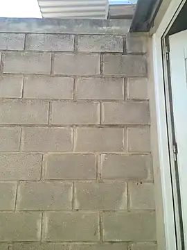 Almendrasexy online show from 10-31-25, 05:09