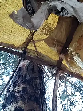 Janvi Jaitly online show from 11-23-25, 01:15