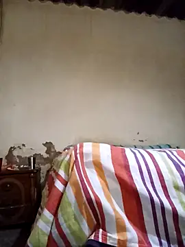 average price online show from 11-12-25, 04:16