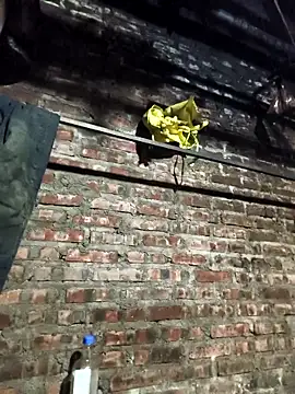 siki-00 online show from 12-16-25, 11:47