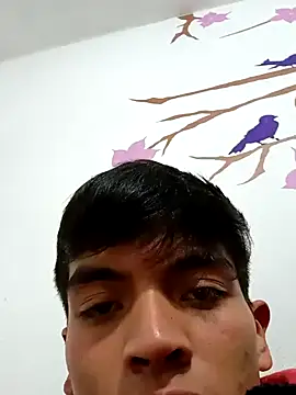 DavidVergagigante420 online show from 11-17-25, 02:59