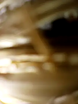 panchosativo online show from 10-31-25, 02:52