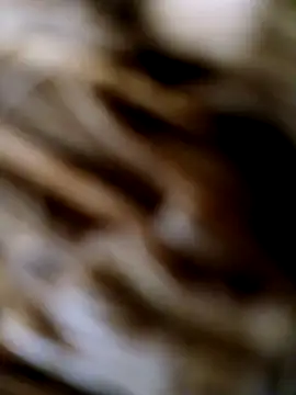 panchosativo online show from 10-25-25, 01:56