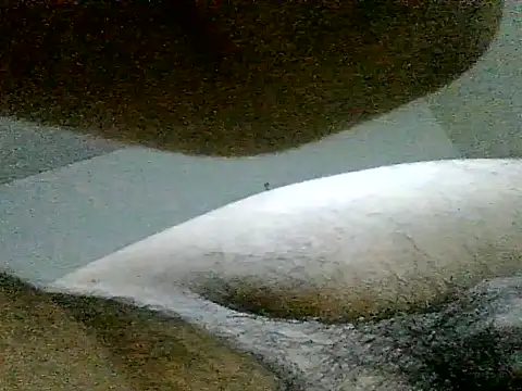 LuispingonX69 online show from 06-23-26, 06:11